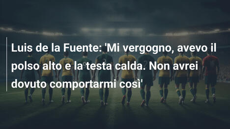 Luis de la Fuente: 'Mi vergogno, avevo il polso alto e la testa calda. Non avrei dovuto comportarmi così'