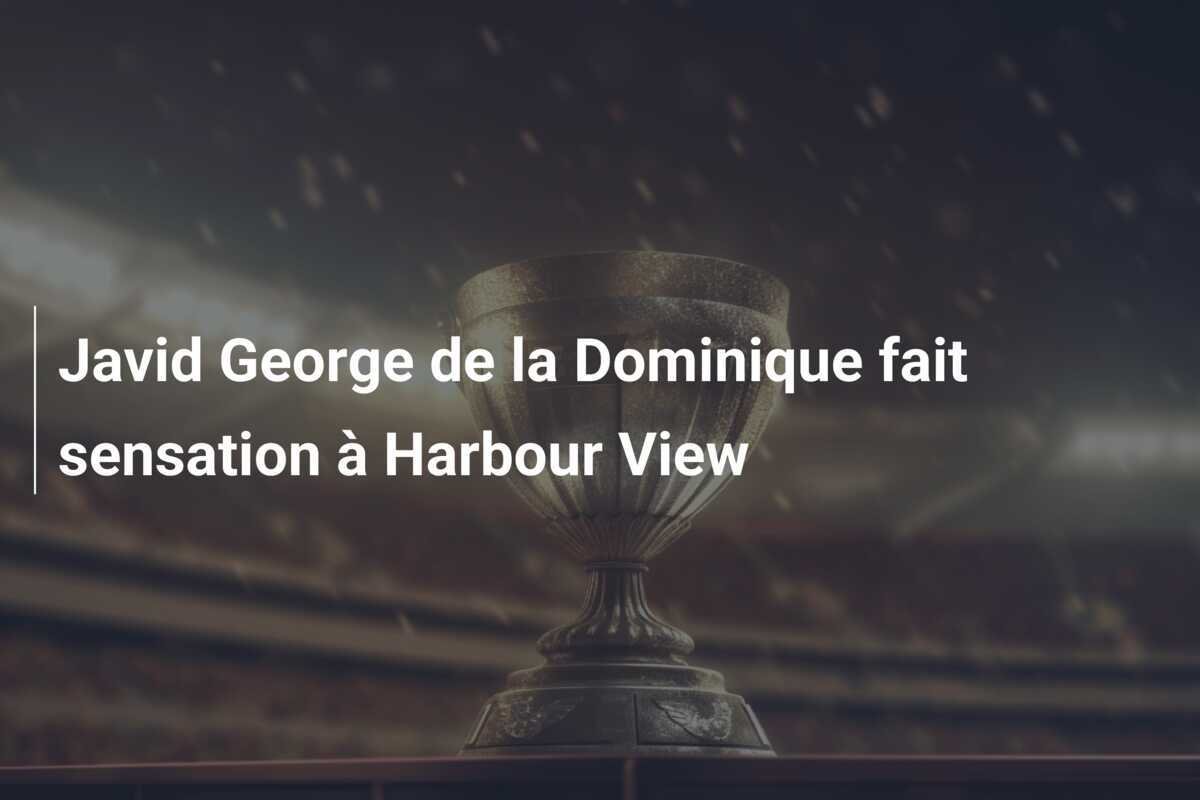 Javid George de la Dominique fait sensation à Harbour View