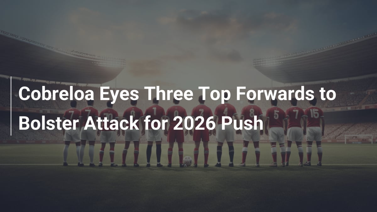 분데스리가 경기 관련 이미지