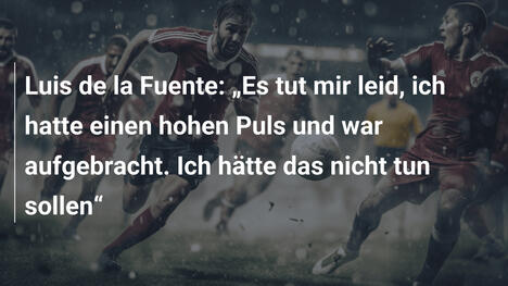 Luis de la Fuente: „Es tut mir leid, ich hatte einen hohen Puls und war aufgebracht. Ich hätte das nicht tun sollen“