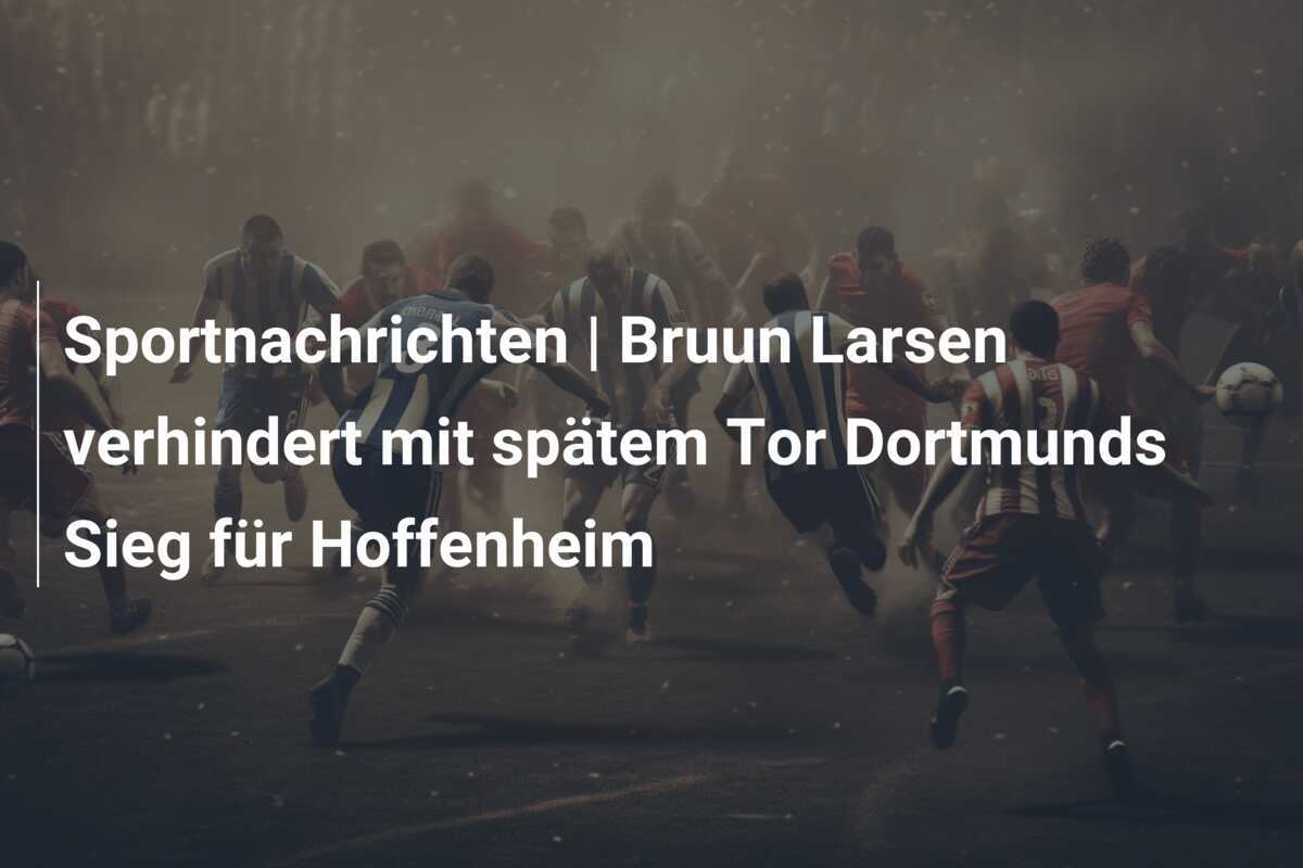Sportnachrichten | Bruun Larsen verhindert mit spätem Tor Dortmunds Sieg für Hoffenheim