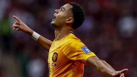 Cody Gakpo teilt tragischen Verlust bei WM 2026