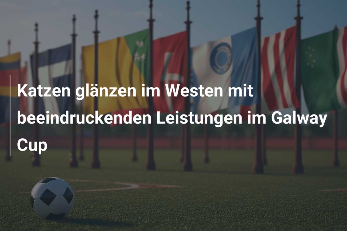 Katzen glänzen im Westen mit beeindruckenden Leistungen im Galway Cup