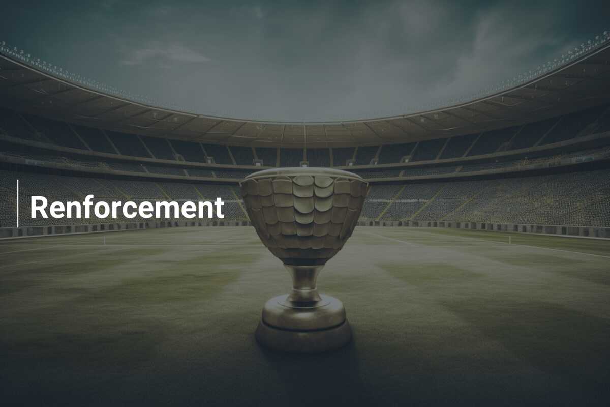 Renforcement