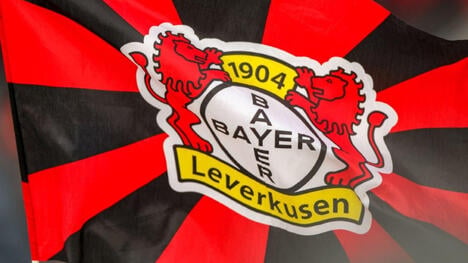 Bayer seal Eichhorn transfer from Hertha
