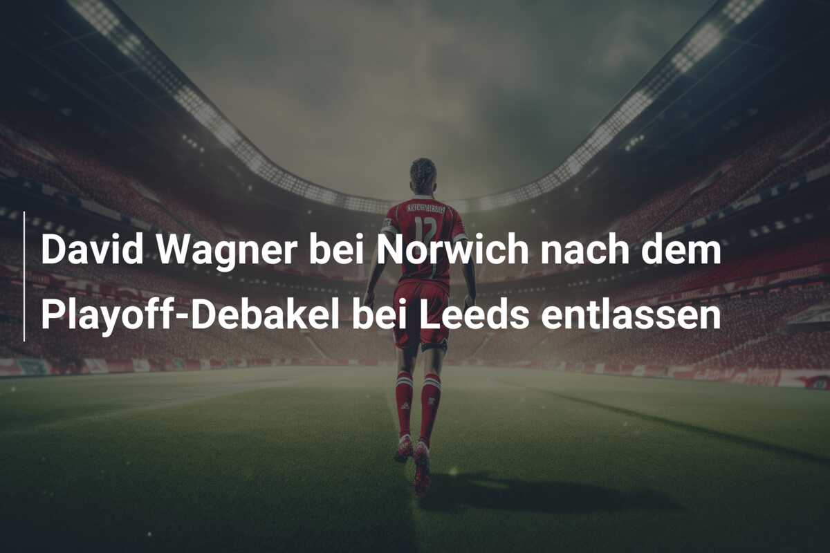David Wagner bei Norwich nach dem Playoff-Debakel bei Leeds entlassen