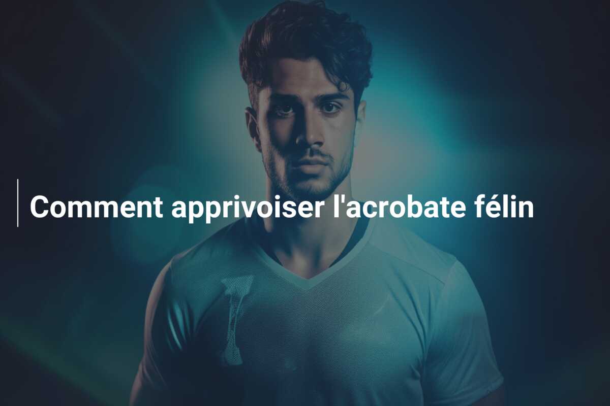 Comment apprivoiser l’acrobate félin