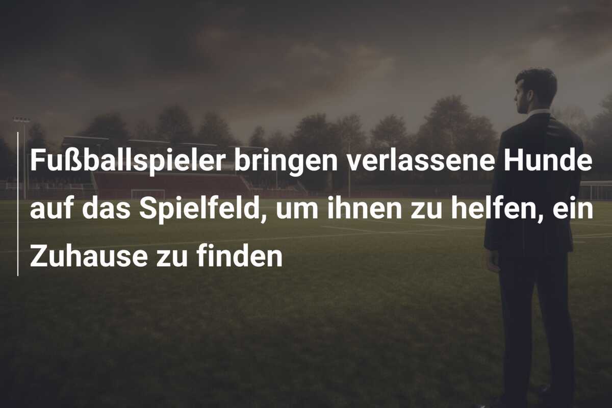 Fußballspieler bringen verlassene Hunde auf das Spielfeld, um ihnen zu helfen, ein Zuhause zu finden
