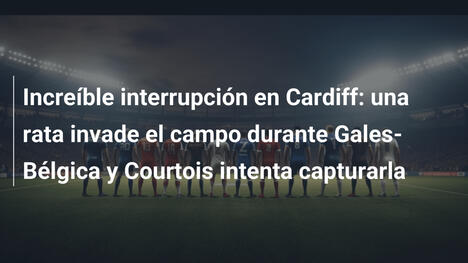 Increíble interrupción en Cardiff: una rata invade el campo durante Gales-Bélgica y Courtois intenta capturarla