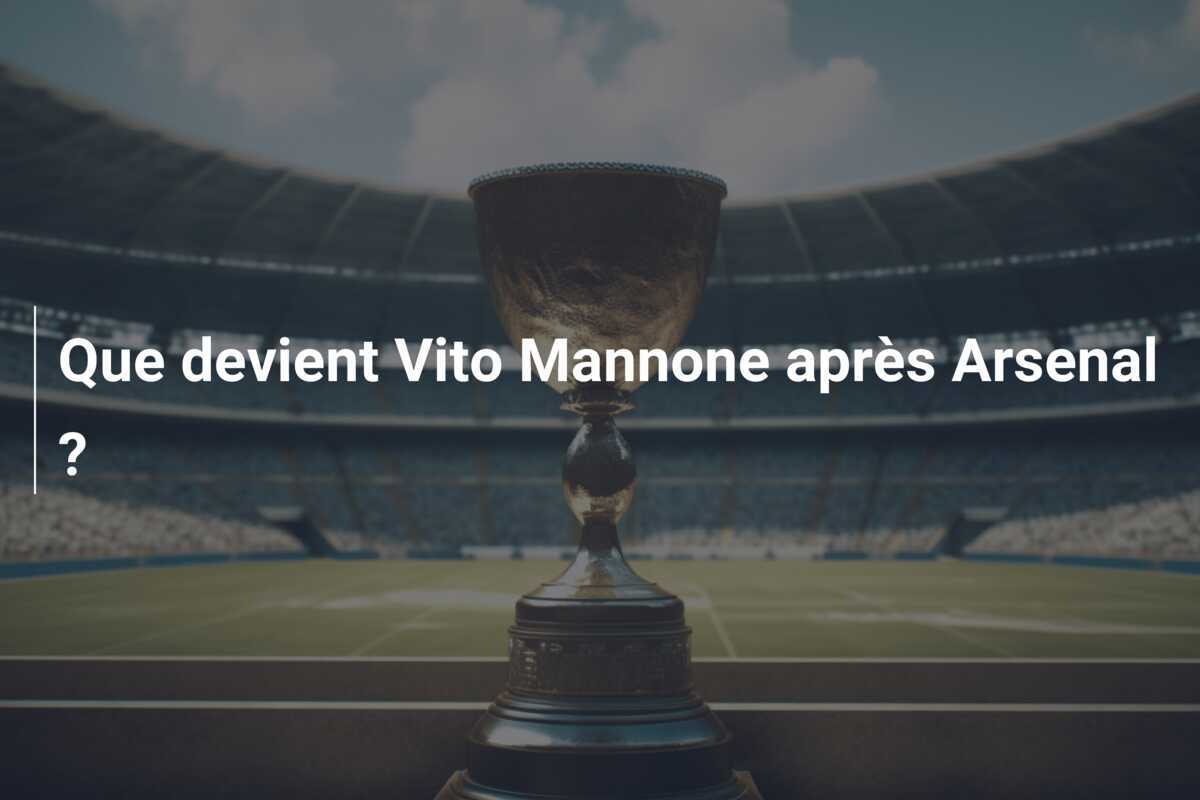 Que devient Vito Mannone après Arsenal ?
