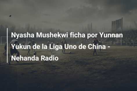 Nyasha Mushekwi ficha por Yunnan Yukun de la Liga Uno de China – Nehanda Radio
