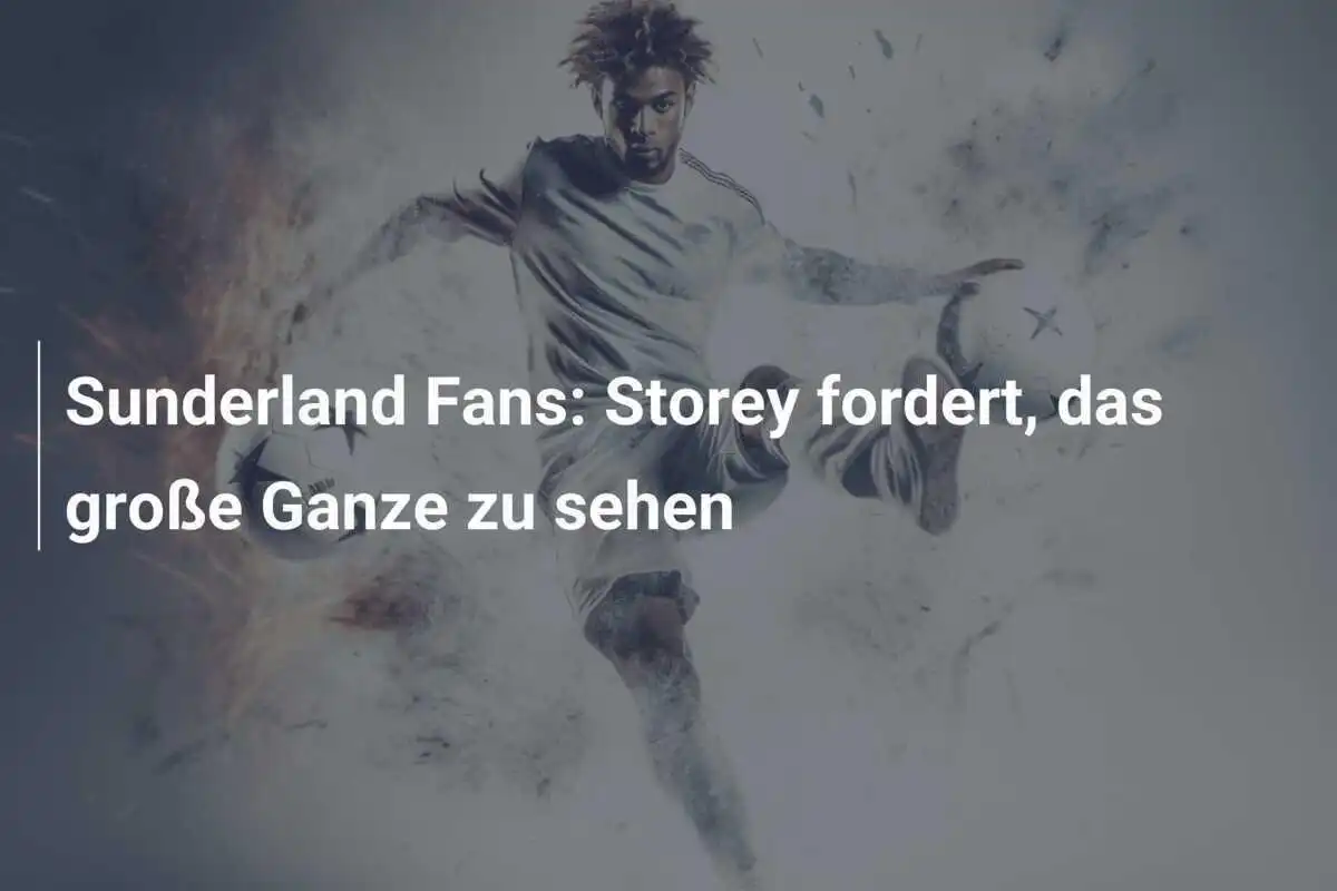 Sunderland Fans: Storey fordert, das große Ganze zu sehen