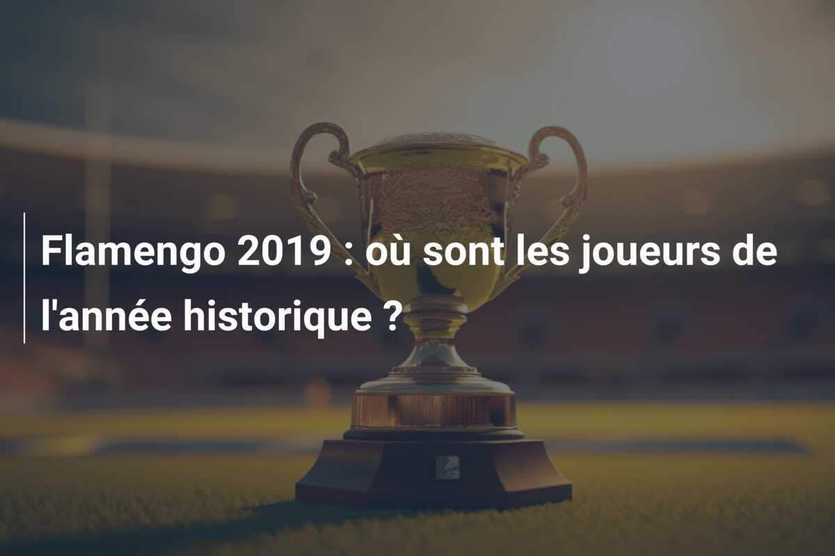 Flamengo 2019 : où sont les joueurs de l'année historique ?