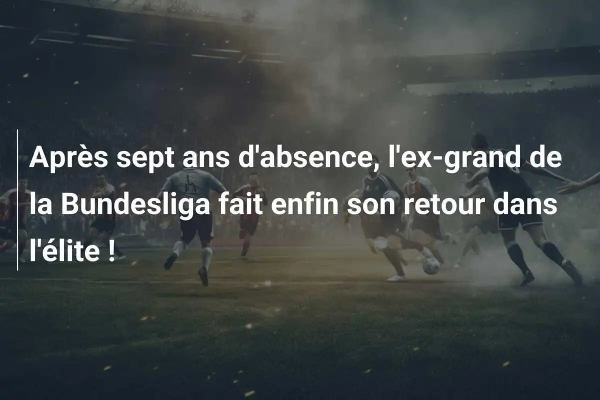 Après sept ans d'absence, l'ex-grand de la Bundesliga fait enfin son retour dans l'élite !