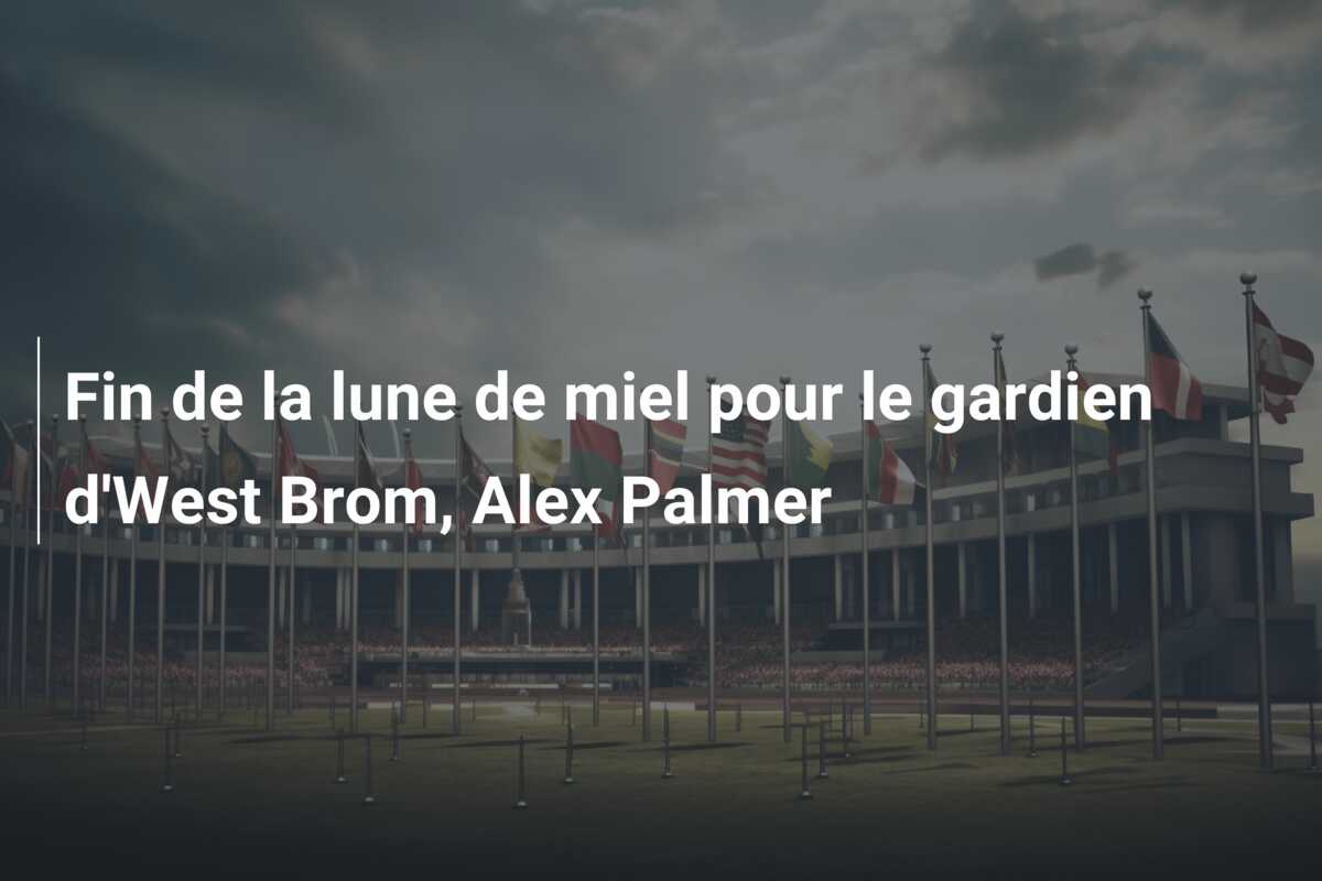 Fin de la lune de miel pour le gardien d’West Brom, Alex Palmer