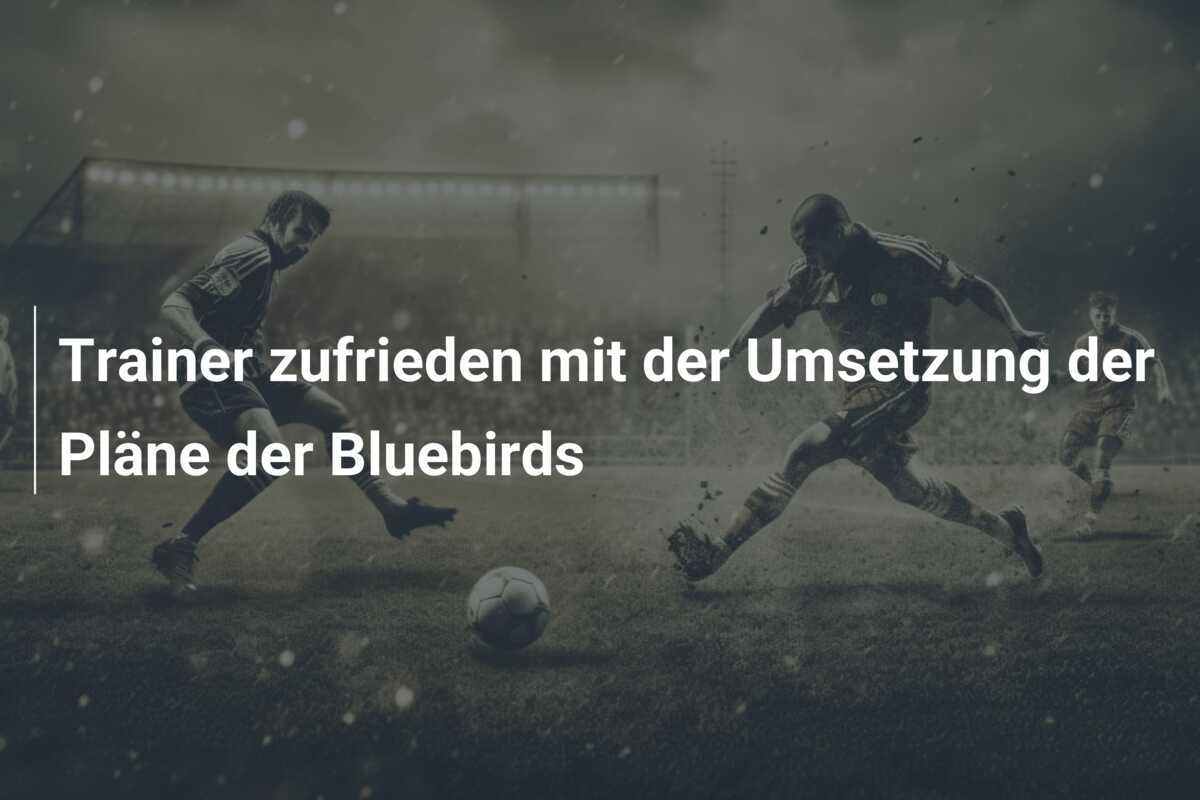 Trainer zufrieden mit der Umsetzung der Pläne der Bluebirds