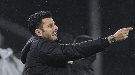 Офіційно: Фабіо Гроссо - головний тренер "Фіорентини"