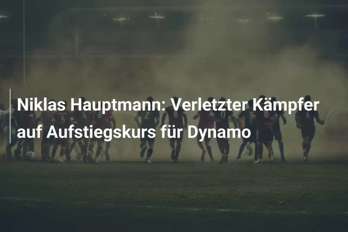 Niklas Hauptmann: Verletzter Kämpfer auf Aufstiegskurs für Dynamo