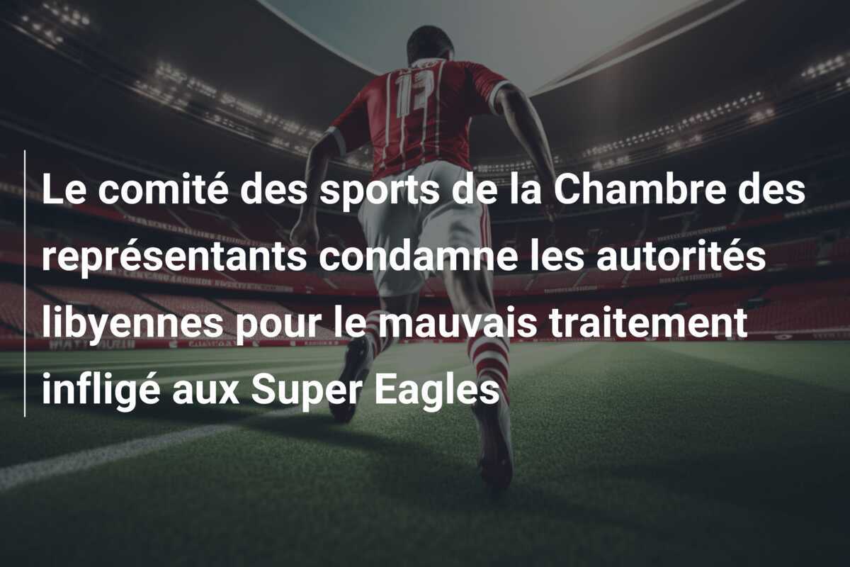 Le comité des sports de la Chambre des représentants condamne les autorités libyennes pour le mauvais traitement infligé aux Super Eagles