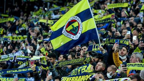 Fenerbahçes 4:0-Dominanz gegen Brann in der Europa League