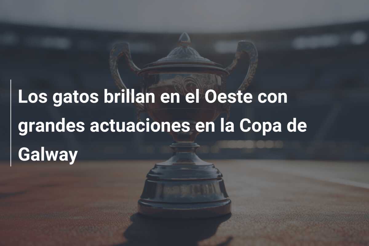 Los gatos brillan en el Oeste con grandes actuaciones en la Copa de Galway