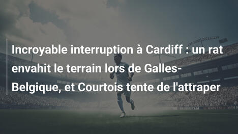 Incroyable interruption à Cardiff : un rat envahit le terrain lors de Galles-Belgique, et Courtois tente de l'attraper