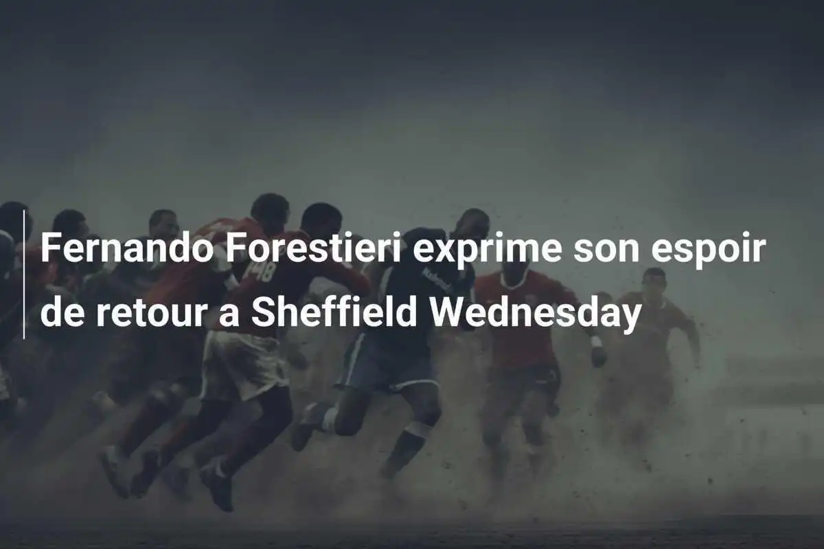Fernando Forestieri exprime son espoir de retour a Sheffield Wednesday