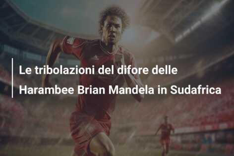 Le tribolazioni del difore delle Harambee Brian Mandela in Sudafrica