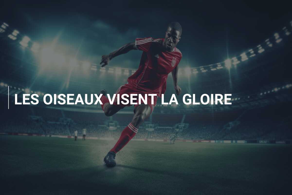 LES OISEAUX VISENT LA GLOIRE