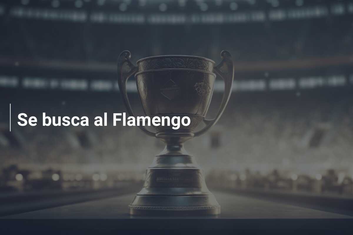 Se busca al Flamengo