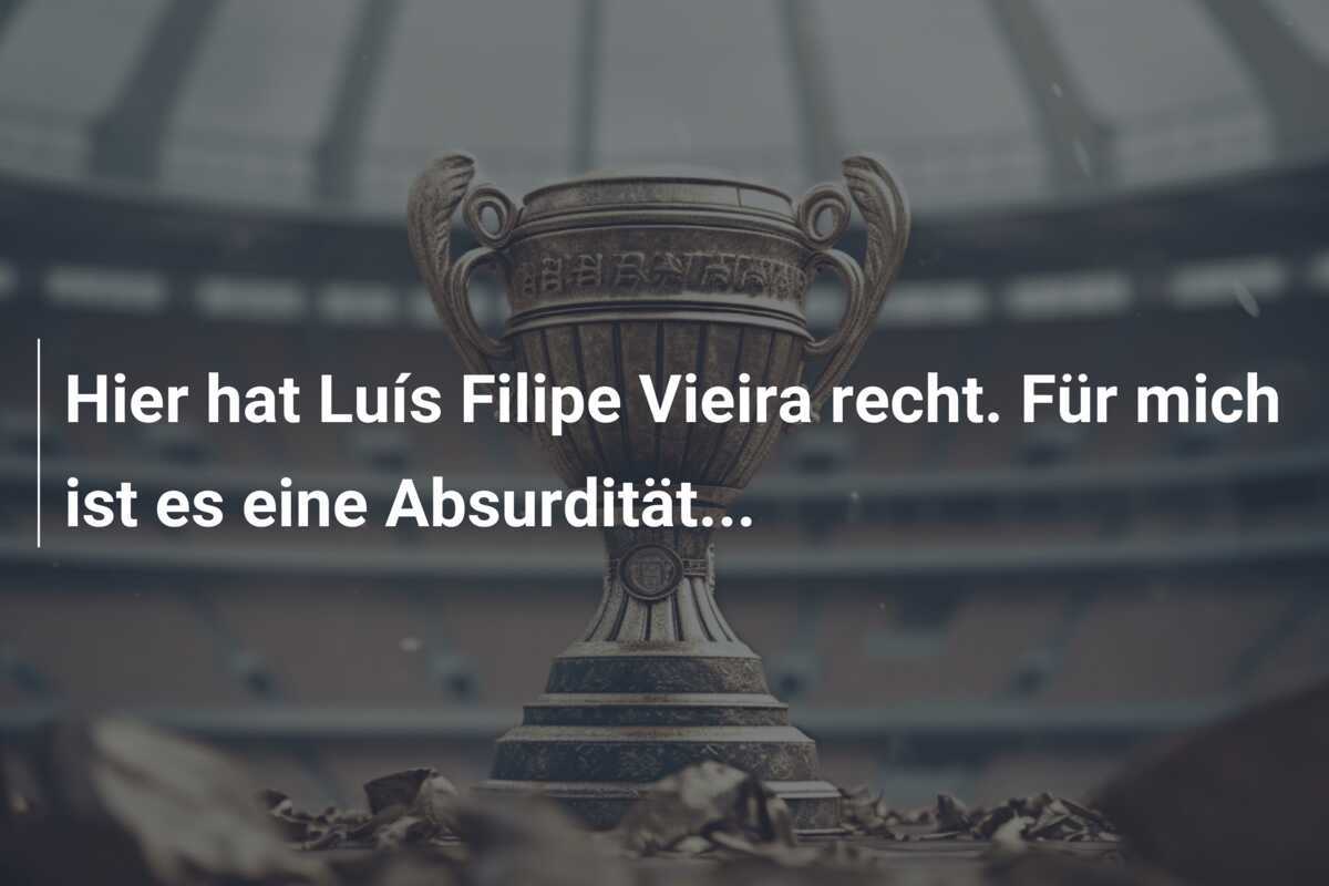 Hier hat Luís Filipe Vieira recht. Für mich ist es eine Absurdität...