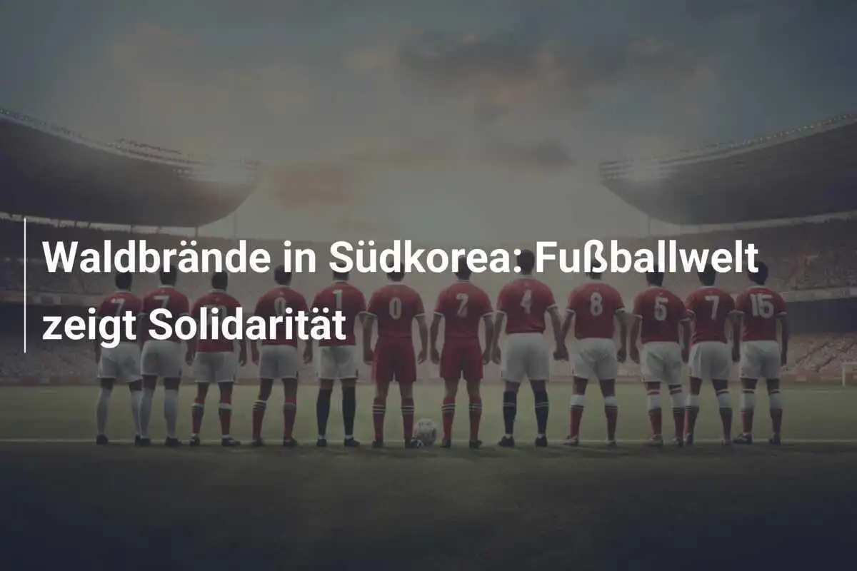 Waldbrände in Südkorea: Fußballwelt zeigt Solidarität