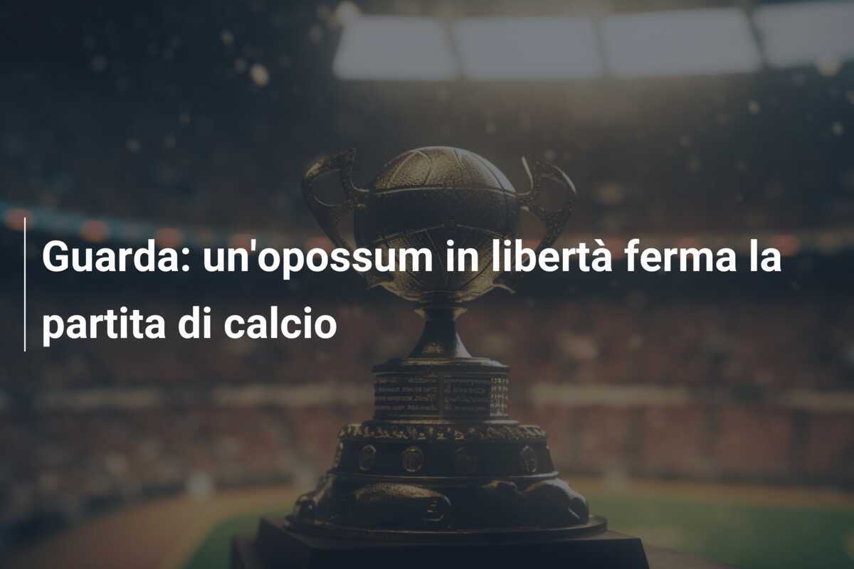 Guarda: un'opossum in libertà ferma la partita di calcio