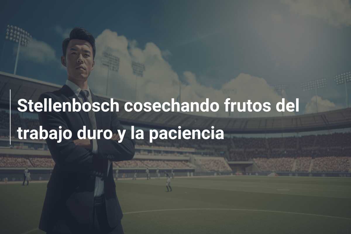 Stellenbosch cosechando frutos del trabajo duro y la paciencia