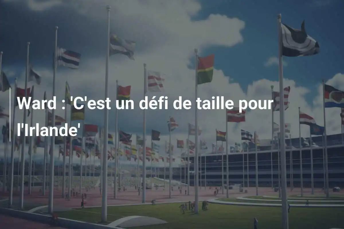 Ward : 'C'est un défi de taille pour l'Irlande'