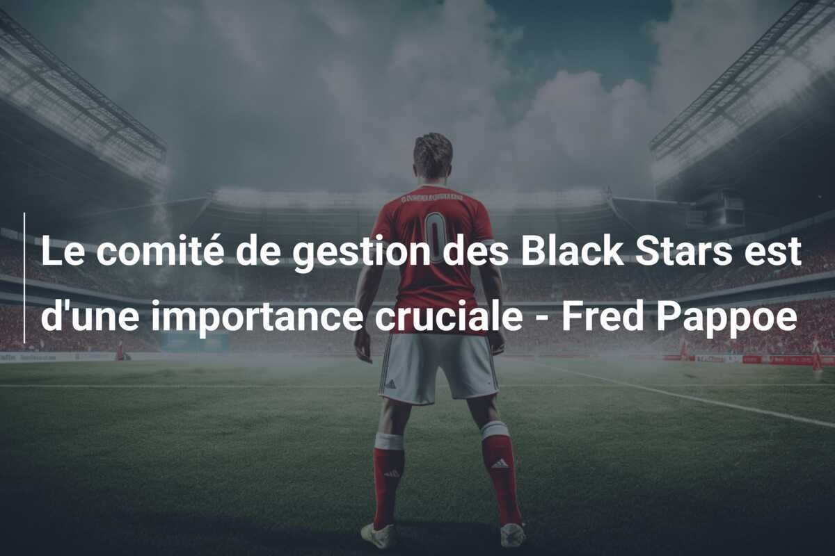Le comité de gestion des Black Stars est d'une importance cruciale - Fred Pappoe
