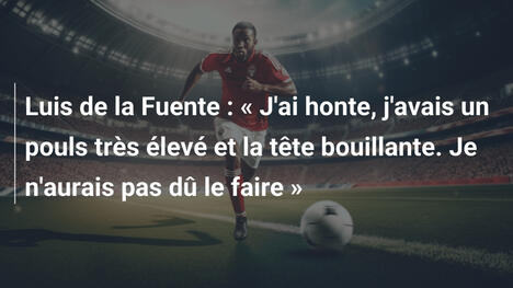 Luis de la Fuente : « J'ai honte, j'avais un pouls très élevé et la tête bouillante. Je n'aurais pas dû le faire »