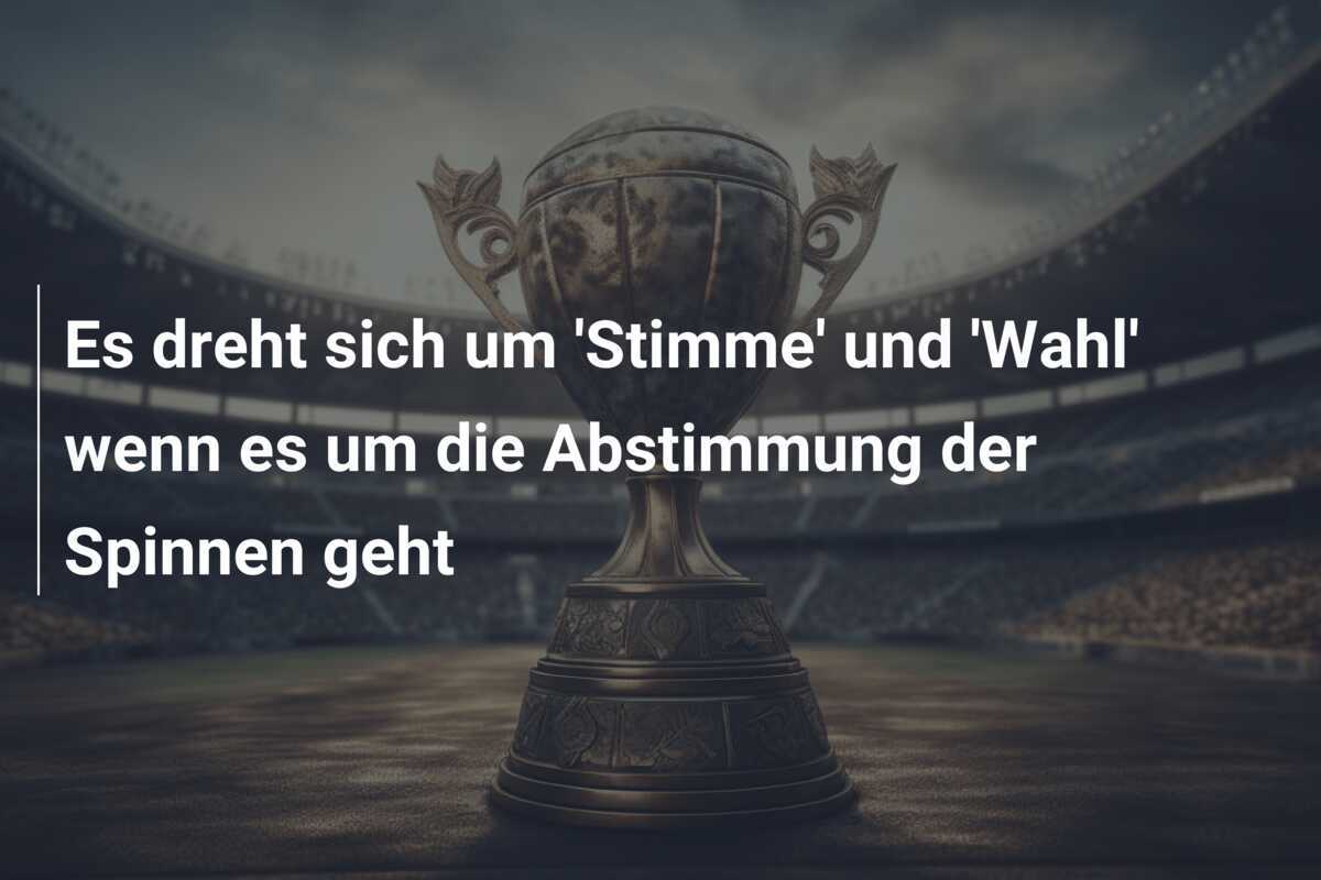 Es dreht sich um 'Stimme' und 'Wahl' wenn es um die Abstimmung der Spinnen geht