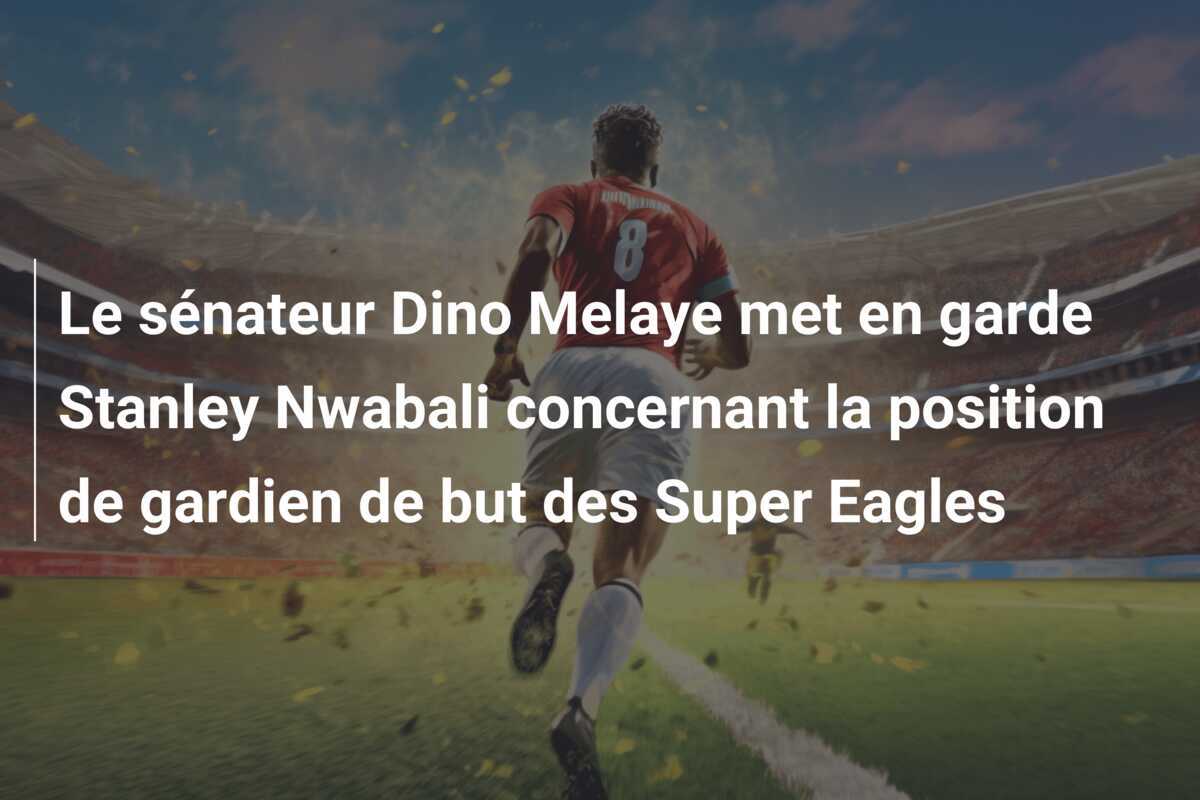 Le sénateur Dino Melaye met en garde Stanley Nwabali concernant la position de gardien de but des Super Eagles