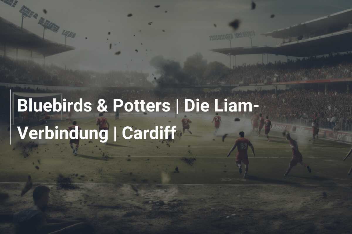 Bluebirds & Potters | Die Liam-Verbindung | Cardiff