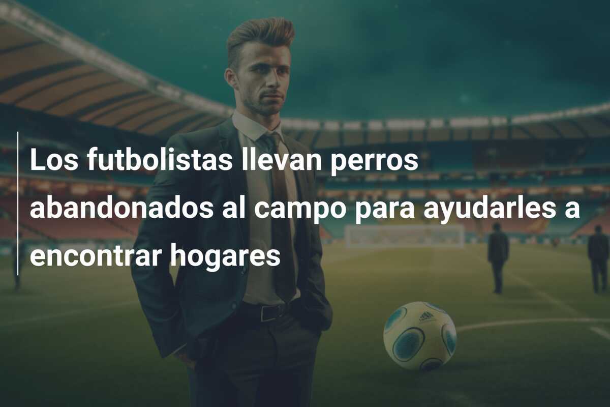 Los futbolistas llevan perros abandonados al campo para ayudarles a encontrar hogares