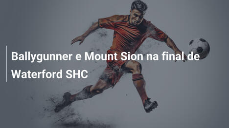 Ballygunner e Mount Sion na final de Waterford SHC