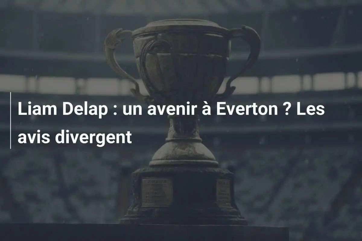 Liam Delap : un avenir à Everton ? Les avis divergent