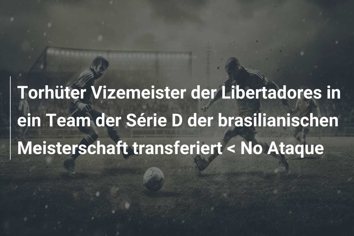 Torhüter Vizemeister der Libertadores in ein Team der Série D der brasilianischen Meisterschaft transferiert < No Ataque
