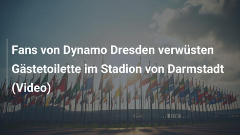 Fans von Dynamo Dresden verwüsten Gästetoilette im Stadion von Darmstadt (Video)