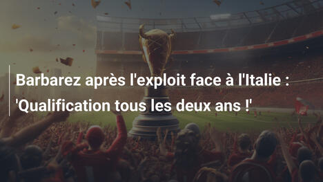 Barbarez après l'exploit face à l'Italie : 'Qualification tous les deux ans !'