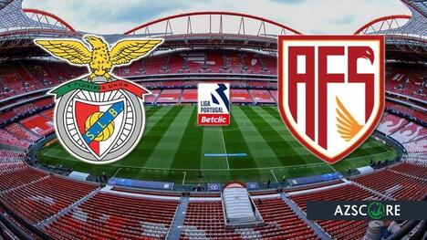 Benfica jagt den Aufschwung: Wird A.V.S. für eine Sensation sorgen?