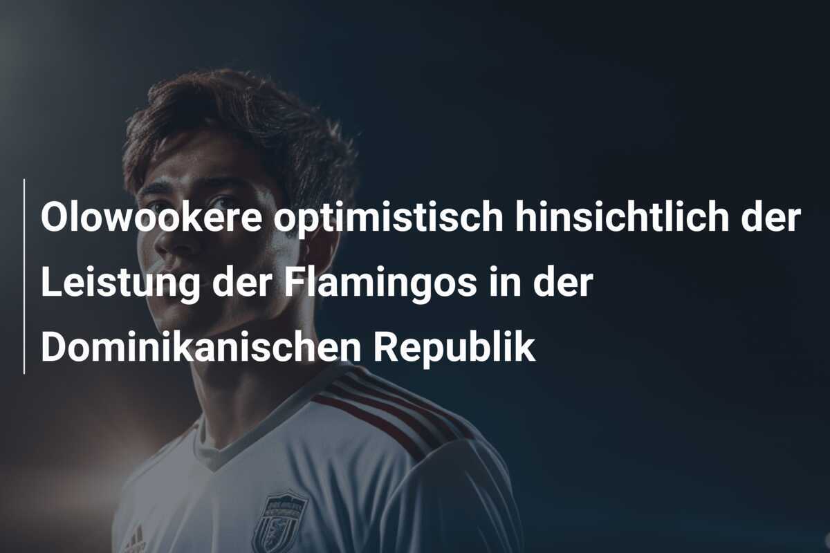 Olowookere optimistisch hinsichtlich der Leistung der Flamingos in der Dominikanischen Republik