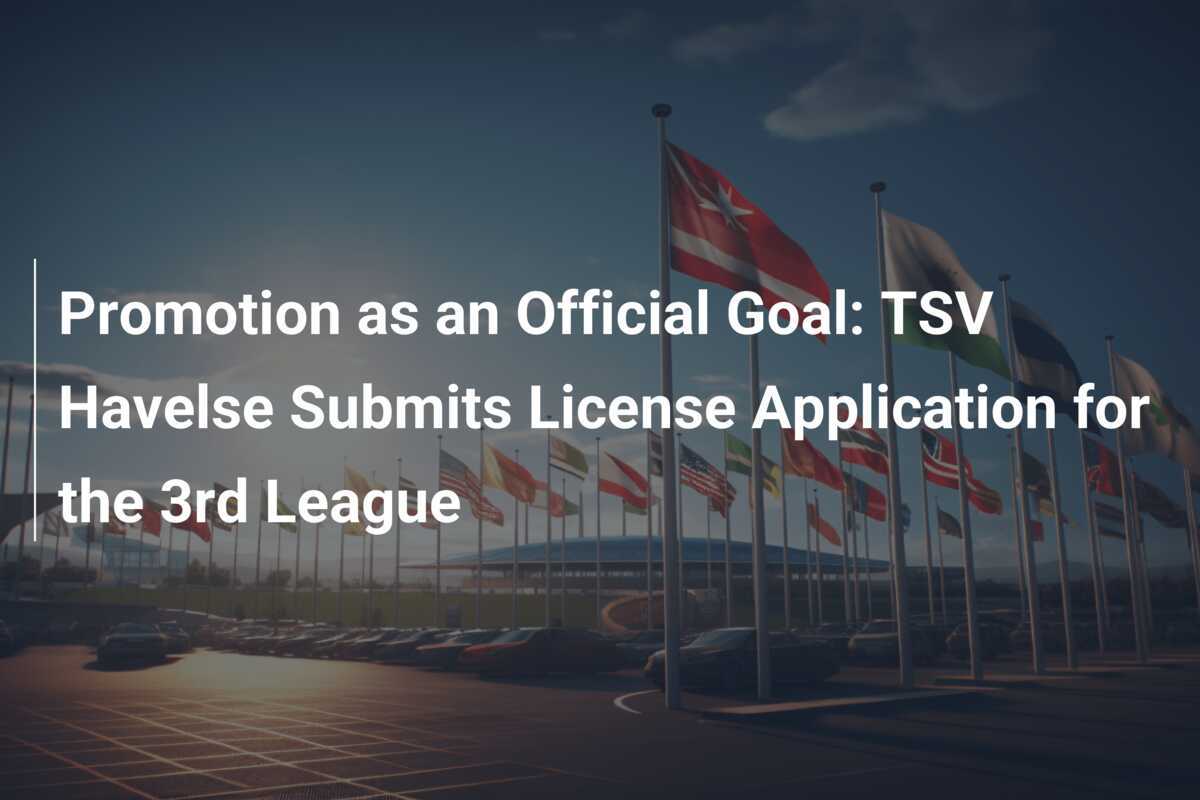 Promozione come Obiettivo Ufficiale: il TSV Havelse Presenta Domanda di Licenza per la 3ª Serie