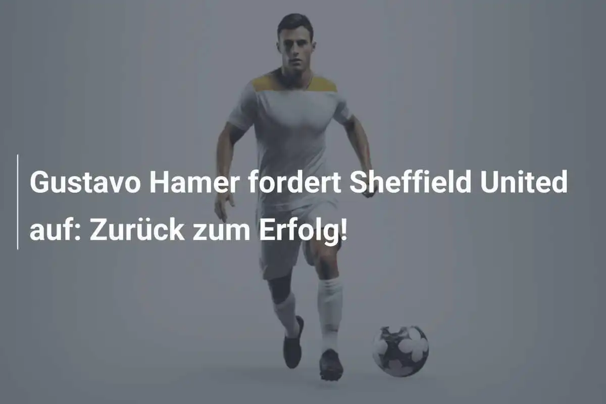 Gustavo Hamer fordert Sheffield United auf: Zurück zum Erfolg!